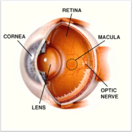 Macular Hole Surgery